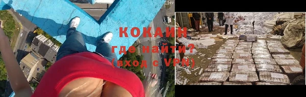 сатива Козловка