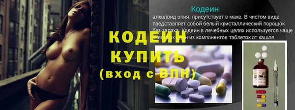 сатива Козловка