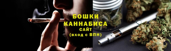 молекула духа Козельск