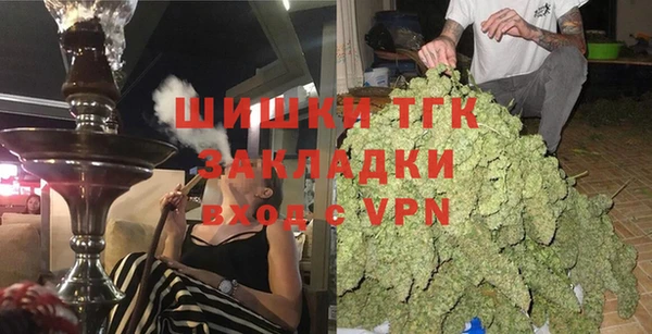 сатива Козловка