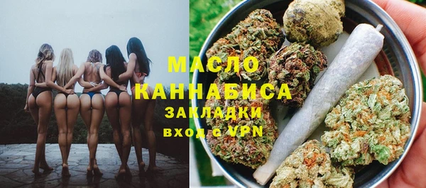 сатива Козловка
