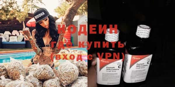 молекула духа Козельск