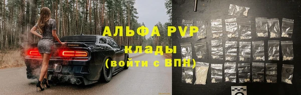 молекула духа Козельск