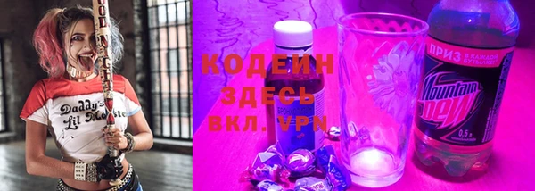 молекула духа Козельск