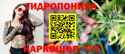 гидропоника Будённовск