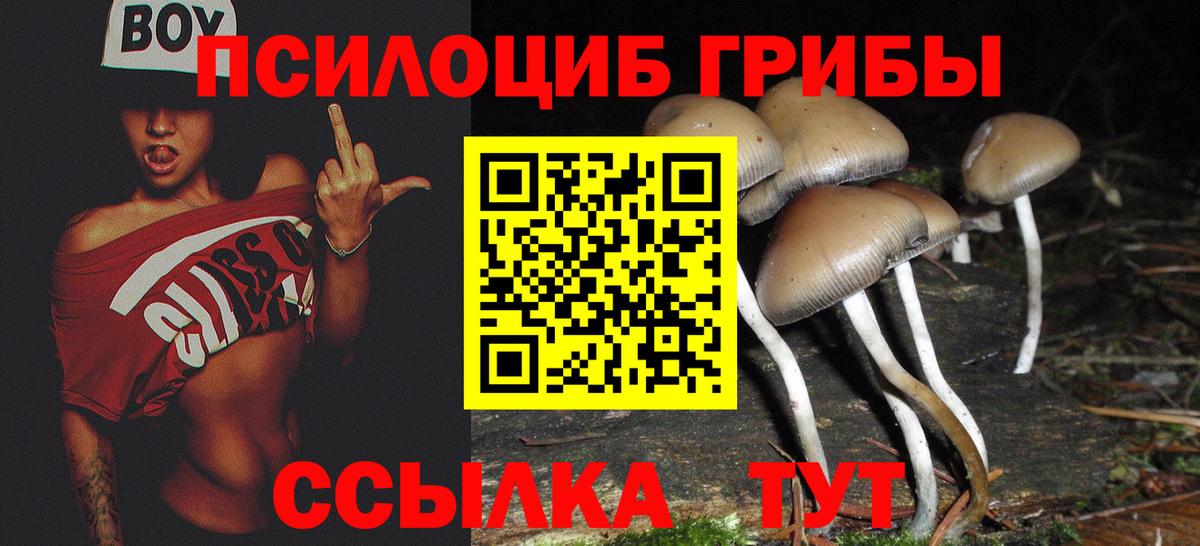 Кыштым  Галлюциногенные грибы Psilocybe  Вход с VPN 