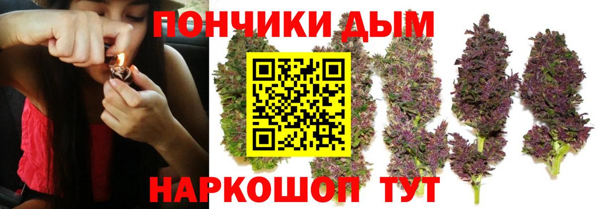 Бошки Шишки тримм  Бошки Шишки Ganja  Вход с VPN  Марихуана марихуана  Кыштым 